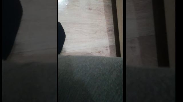 Как родители реагирую на одежду