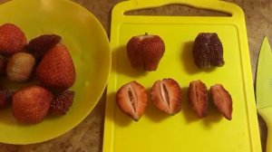 Купчиха или Царица? Сравнение сортов клубники.