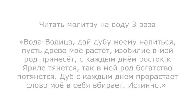 ОБРЯД "РОДОВОЕ ДЕРЕВО" ЕДИНОЕ РОДНОВЕРИЕ РОССИИ #родноверие #велес #славяне