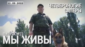 "ЧЕТВЕРОНОГИЕ САПЁРЫ. МЫ ЖИВЫ выпуск №72" военный корреспондент Марьяна Наумова 22.09.2022