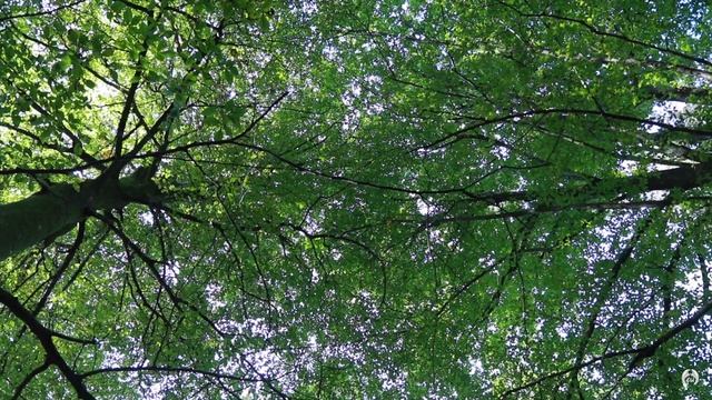Осень в Горах. Изначальный Мир. Белые Скалы.