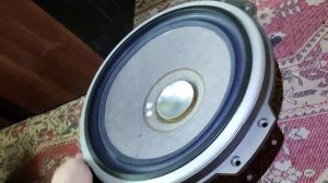 Какие динамики из вспененного никеля не стоит покупать от колонок электроника 100ас-060