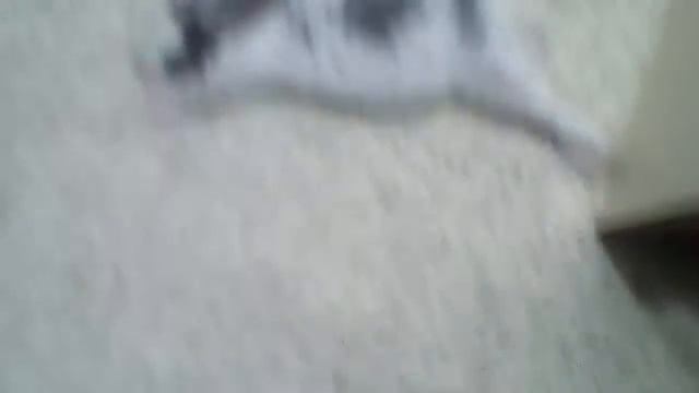 Кролик спить)) смотреть онлайн