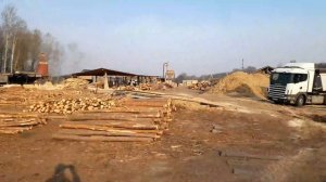 Возим опилки под голубику.