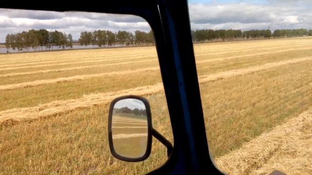 МТЗ-80 и Палессе СТ70. Свал овса 20.08.2018. смотреть онлайн