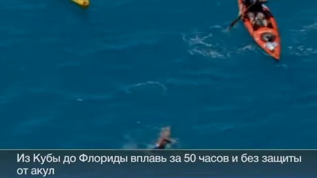 64 летняя американка за 53 часа доплыла от Кубы до США