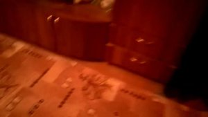 Первый раз вызвал духа очень страшно (вызов египодского кота)