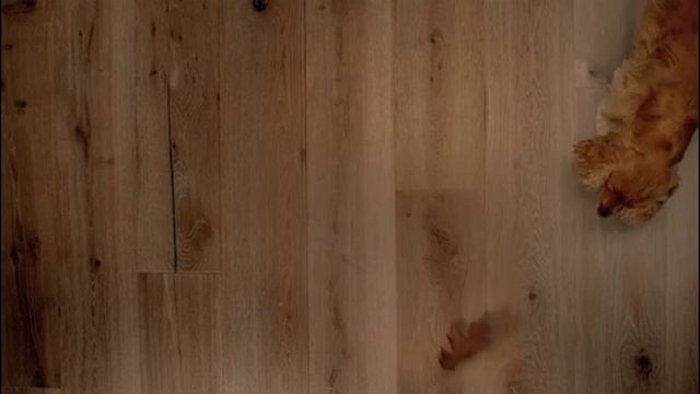 Quickstep Engineered Parquet смотреть онлайн