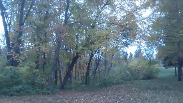 Стихи. Осень. Не судите строго. С любовью Дерский. смотреть онлайн