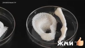 ТЕХНОЛОГИИ БУДУЩЕГО которые ИЗМЕНЯТ МИР и нашу ЖИЗНЬ