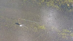 Красивая рыбалка Нахлыст