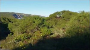 VK45DD to Nissan Navara from Australia