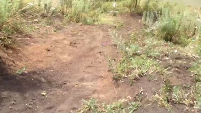 Заплыв на лодке смотреть онлайн