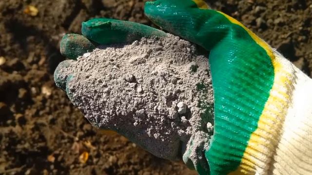 Срочно дайте огурцам ЗОЛУ и собирайте урожай ведрами до осени: лучшая подкормка для плодоношения смотреть онлайн