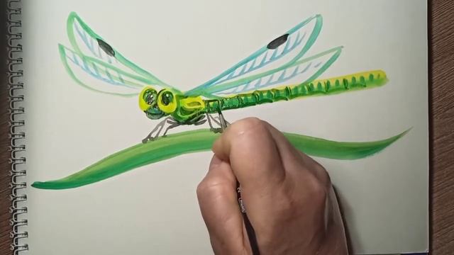 Стрекоза - рисунок гуашью. смотреть онлайн