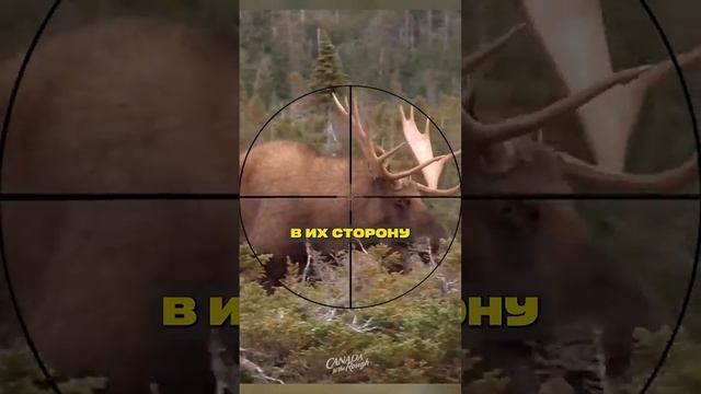 1несчастный случай