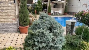 ДОМ БОГАТЫХ УЗБЕКОВ