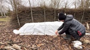 26.03.2023. Сажайте розы на возвышенностях и они не выпреют и не потрескаются у основания!