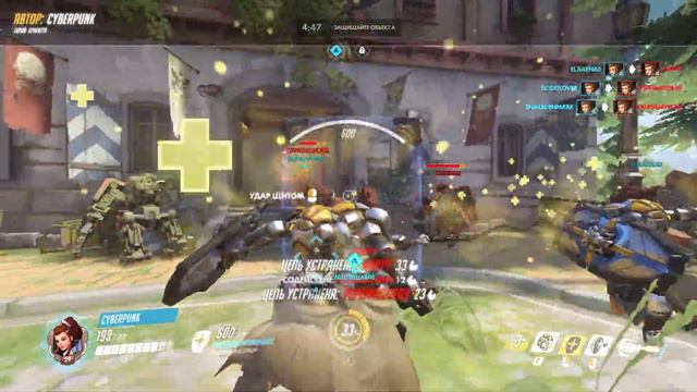 Overwatch - Бригитта