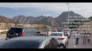 Travel Dubai | Hatta Kayak & Hatta Dam | A Beautiful Road Trip To An Weekend Getaway | From Dubai |