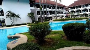 Amora beach resort - обзор бассейна