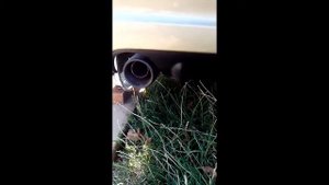 Дэу Матиз. "Спорт" выхлоп!)