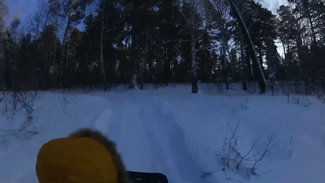 Мототолкач по зимнему лесу. смотреть онлайн