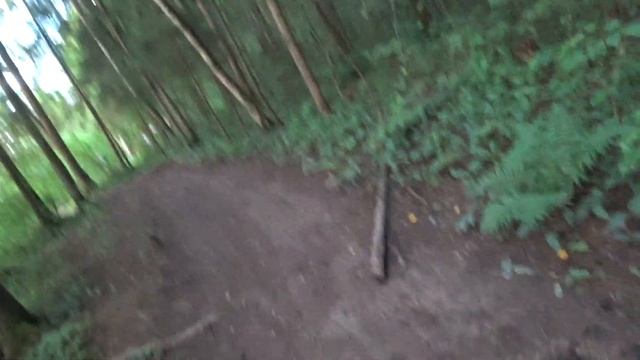 05 июля 2020 Лазурный берег - усадьба Марфино Необычная дорога с приключениями и ёжиком на дороге! смотреть онлайн