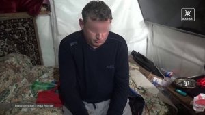 Джентльмены неудачи организовали плантацию конопли, но попались полиции