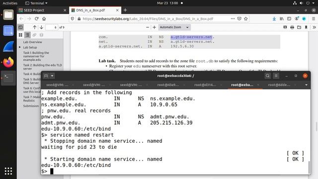 SEED 2.0 DNS In A Box Lab смотреть онлайн