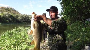 САЗАН, СОМ, КАРАСЬ. Ловля на донки р.Дон конец Августа (05.09.2021)