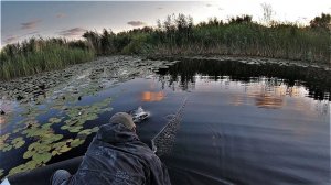 Рыбалка на ХИЩНИКА на самую ПРОСТУЮ И РАБОЧУЮ снасть!  Рыбалка с ночевкой!