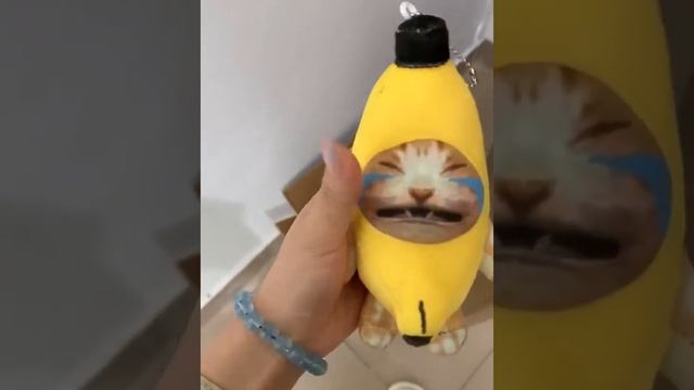The kitten is so cute, how can you abandon the banana cat casually? The pendant, the banana cat kno смотреть онлайн