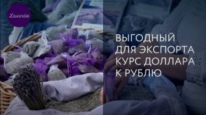 ЛАВАНДЕЛЬ | БИЗНЕС ПО ВЫРАЩИВАНИЮ ЛАВАНДЫ И ПРОИЗВОДСТВУ ЭФИРНОГО МАСЛА