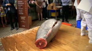 Шоу Голубого Тунца. Демонстрационная Разделка Тунца, Морепродукты в Китае.