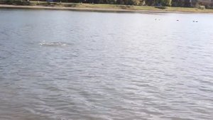 LUCKY FF1108-1CWLA беспроводной дистанционный эхолот