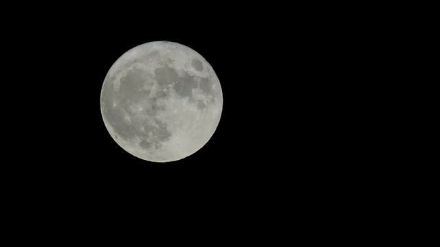 Moonlight Sonata - Op. 27 No. 2 Mov. 1 - Beethoven - Synth Version смотреть онлайн