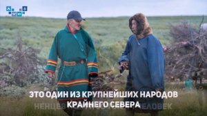 Ненцы — самый успешный оленеводческий народ