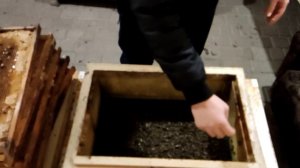 Зимовка пчёл. Первые потери. Плохой опыт с ГФСом. Открыл улей, а там... Это нужно видеть!