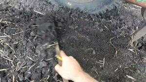 Вторая предпосевная культивация мтз 82.Глубина культивации под подсолнечник