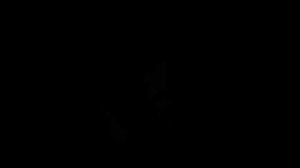 Марина Влади исполняет песню Владимира Высоцкого "Беда"