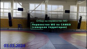 Первенство Московской области по САМБО (территория север) 2024