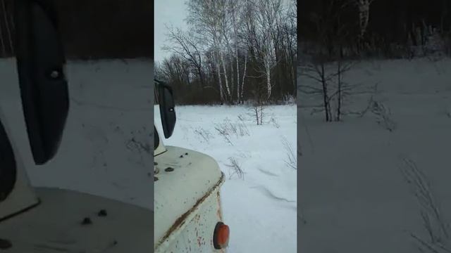 Лес ,баня на колёсах ,друзья 2 смотреть онлайн