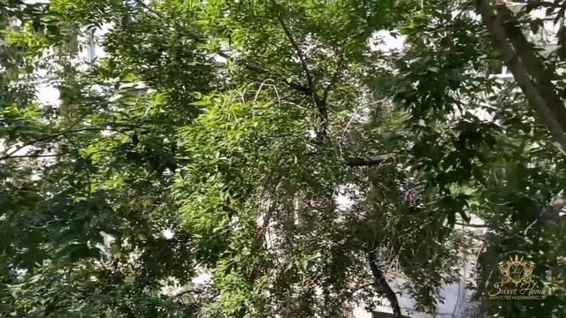 Комната в 3-х комнатной квартире, ул. Заводская, 9 смотреть онлайн