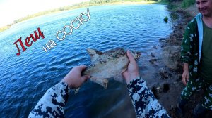 Поймал хорошего ЛЕЩА на соску и крупную ЧЕХОНЬ на гирлянду