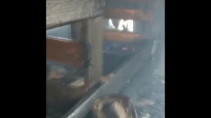 Сгоревшие коровы