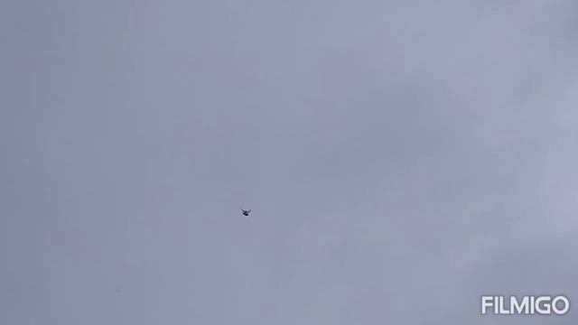 Голуби срываются по сильному ветру. смотреть онлайн