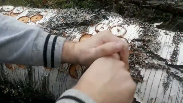 Рукоять ножа! Из бересты! Серега76! DIY! 1 ЧАСТЬ. смотреть онлайн