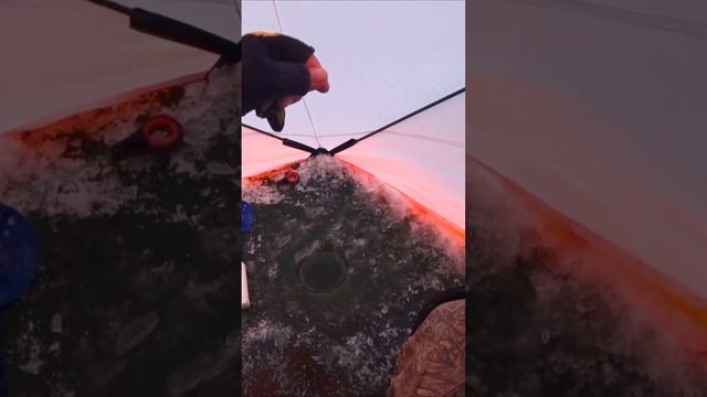 КРУПНАЯ ПЛОТВА на МОРМЫШКУ!