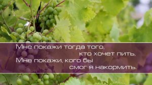 Ольга Вельгус.  Когда мне холодно